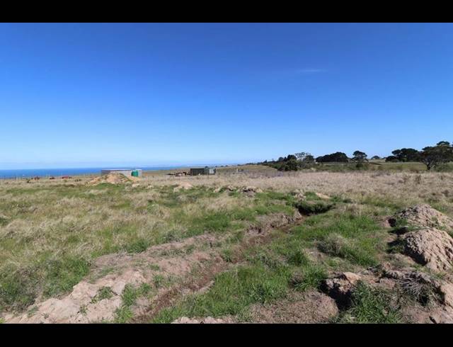 FARM FOR SALE IN GEORGE RURAL